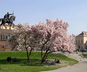 Zagreb, Tanocki