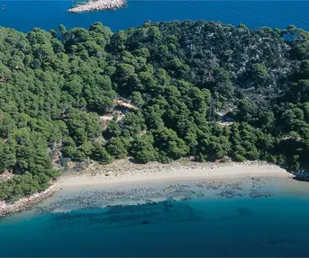 Plaža Saplunara | Mljet