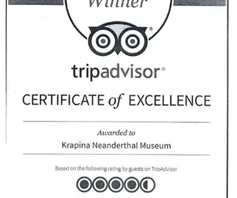 TripAdvisor_Certificate