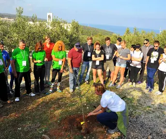 Prvo svjetsko prvenstvo u branju maslina, Postira, otok Brač