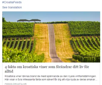 Croatia Feeds - prva hrvatska kampanja kao Google "Case study"