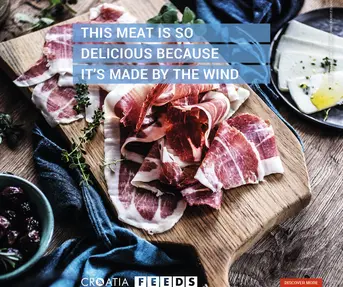 Croatia Feeds - prva hrvatska kampanja kao Google "Case study"