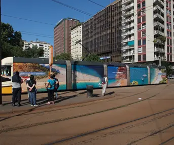 Croatia Feeds - prva hrvatska kampanja kao Google "Case study"