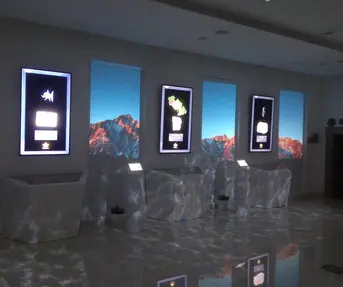 Putevima pračovjeka