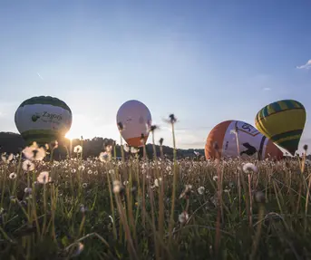 Croatia Hot Air Balloon Rally