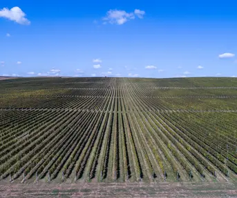 Ljeto u Slavoniji i Baranji