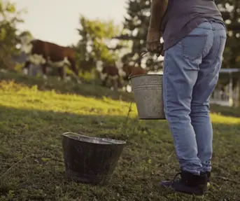 Zagreb County A Taste Above