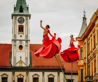 TZ VŽ