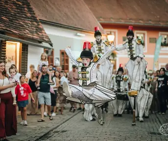 TZ VŽ